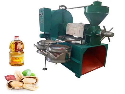 Nuevos productos, máquina de línea de prensa de aceite de semilla de girasol de 500 kg/h para negocios