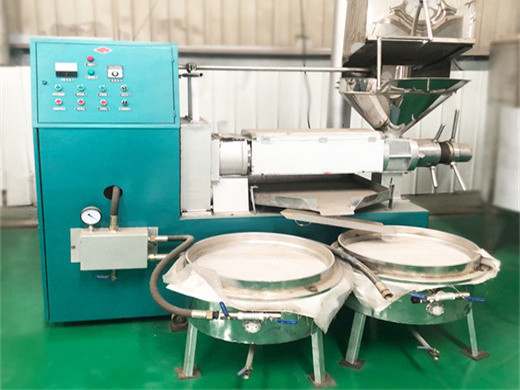 Máquina de línea de aceite de salvado de arroz de 3 t/h de calidad confiable y piezas de repuesto