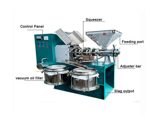 Máquina de prensado de aceite de semilla de girasol de bajo precio 1t-5tpd en España
