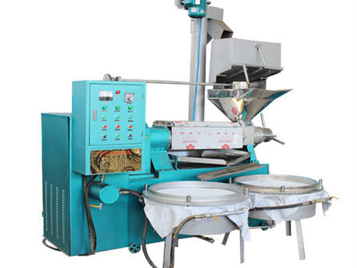 Máquina de planta de prensa de aceite de semilla de girasol de prensa en frío de bajo costo en Panamá