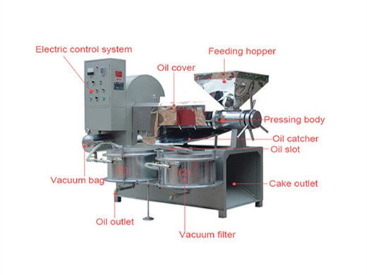Máquina expulsora de aceite de germen de maíz de prensa en frío de bajo costo a la venta