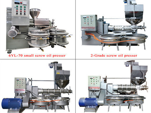 Máquina de prensado de aceite de salvado de arroz directa de fábrica de 10 toneladas por día