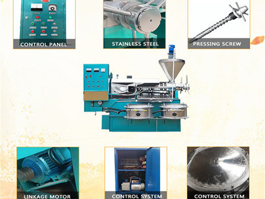 Máquina profesional de procesamiento de aceite de salvado de arroz medio con precio de filtro