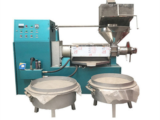 Nuevos productos, máquina procesadora de aceite de salvado de arroz de 3 t/h con precio de filtro