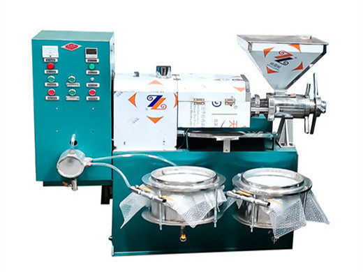 Máquina profesional de procesamiento de aceite de germen de maíz de 500 kg/h a la venta