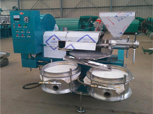 Popular máquina de línea de aceite de salvado de arroz de 3 t/h y piezas de repuesto en España