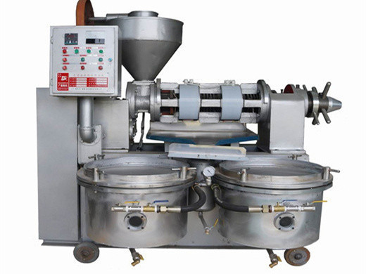 Nuevos productos 1000 kg/h máquina de molino de aceite de maní inecuador