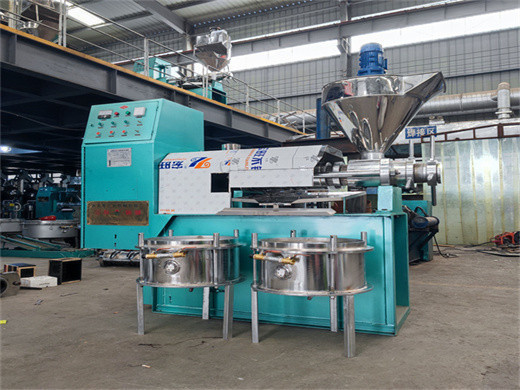 Máquina de planta de prensa de aceite de semilla de girasol directa de fábrica 500 kg/h