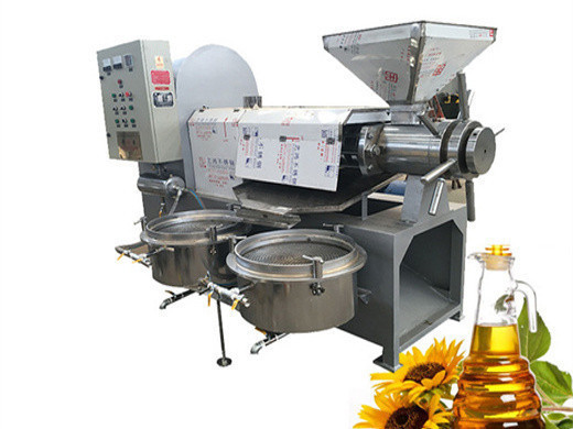 Máquina profesional de prensa de aceite de maní de 3 t/h en honduras