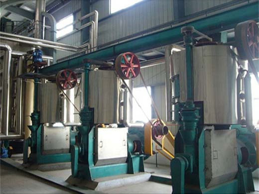 Gran promoción 1000 kg/h máquina expulsora de aceite de semilla de algodón