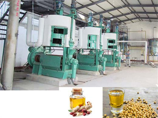 línea profesional de producción de aceite de algodón de 5t/d en chile