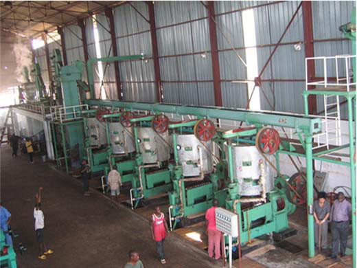 prensa de aceite de cacahuate mediana profesional linea inecuador