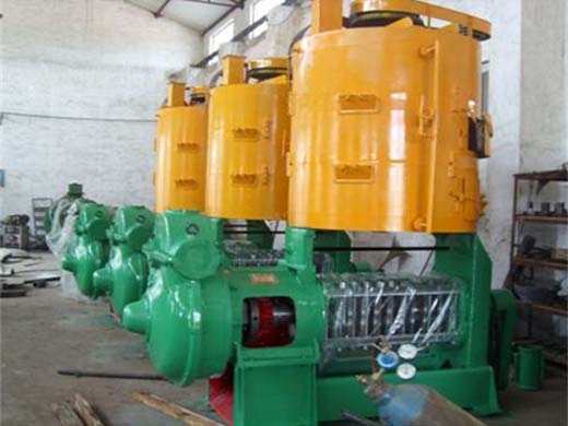 Máquina de procesamiento de aceite de germen de maíz de 10 tpd de alto rendimiento a la venta