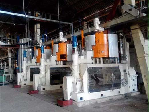 Nueva máquina de línea de expulsor de aceite de semilla de girasol de calidad confiable en Perú
